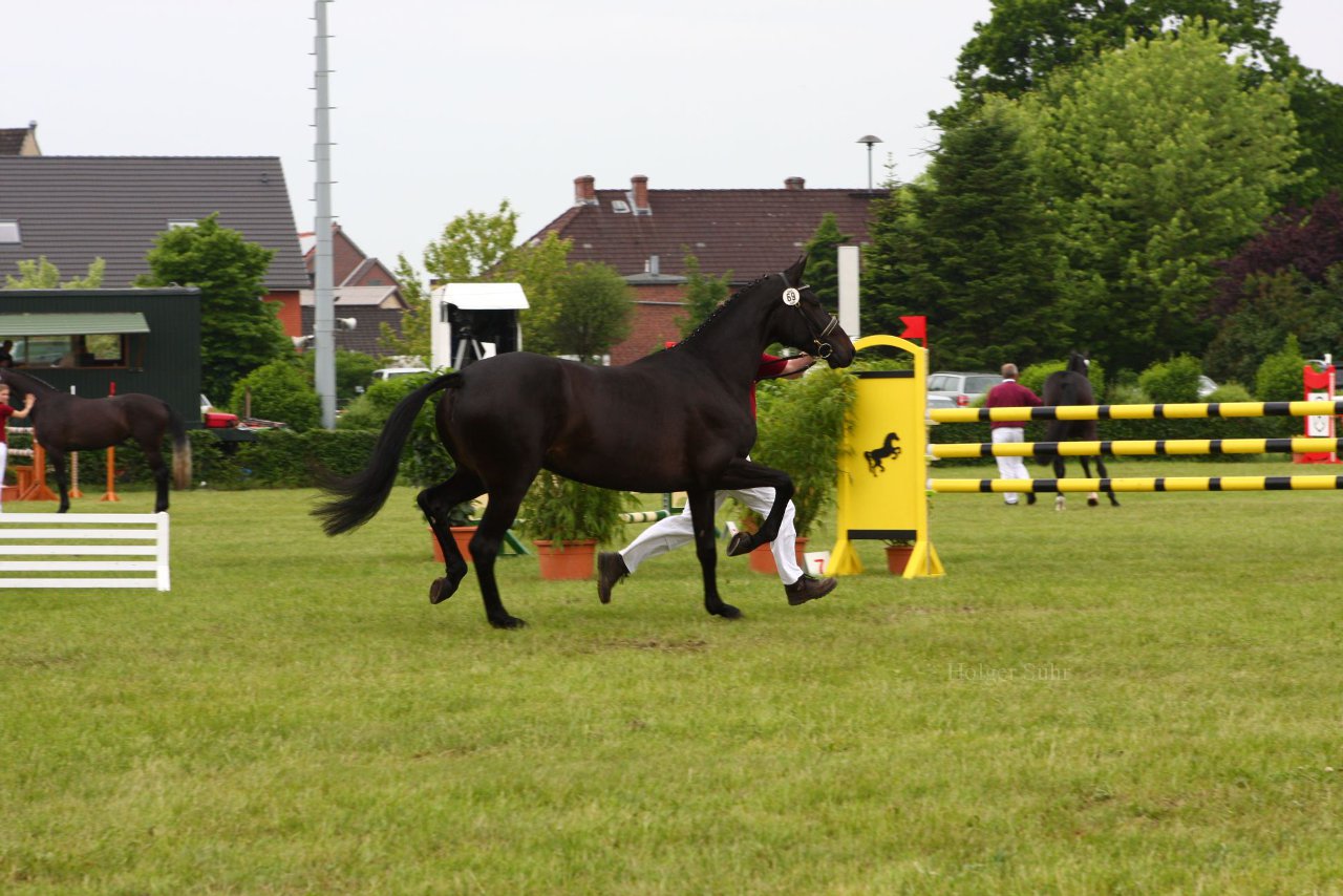 Bild 110 - Elmshorn am 9.6.10